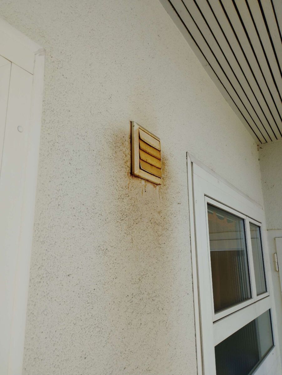 Bee nest at the house remove