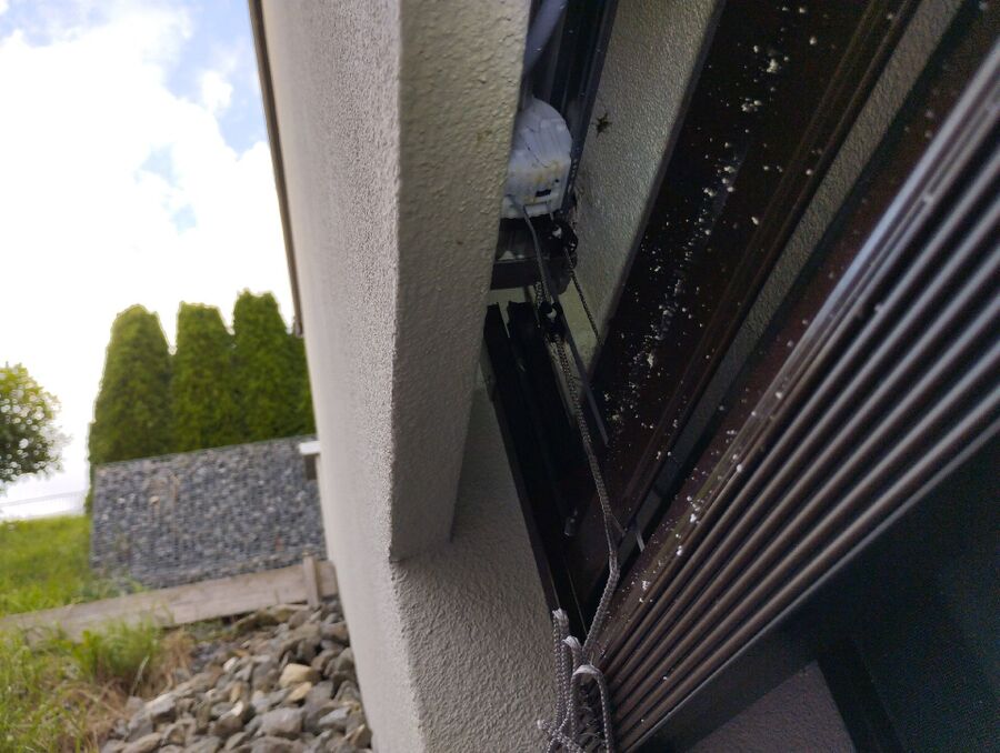 Bee nest at the house remove