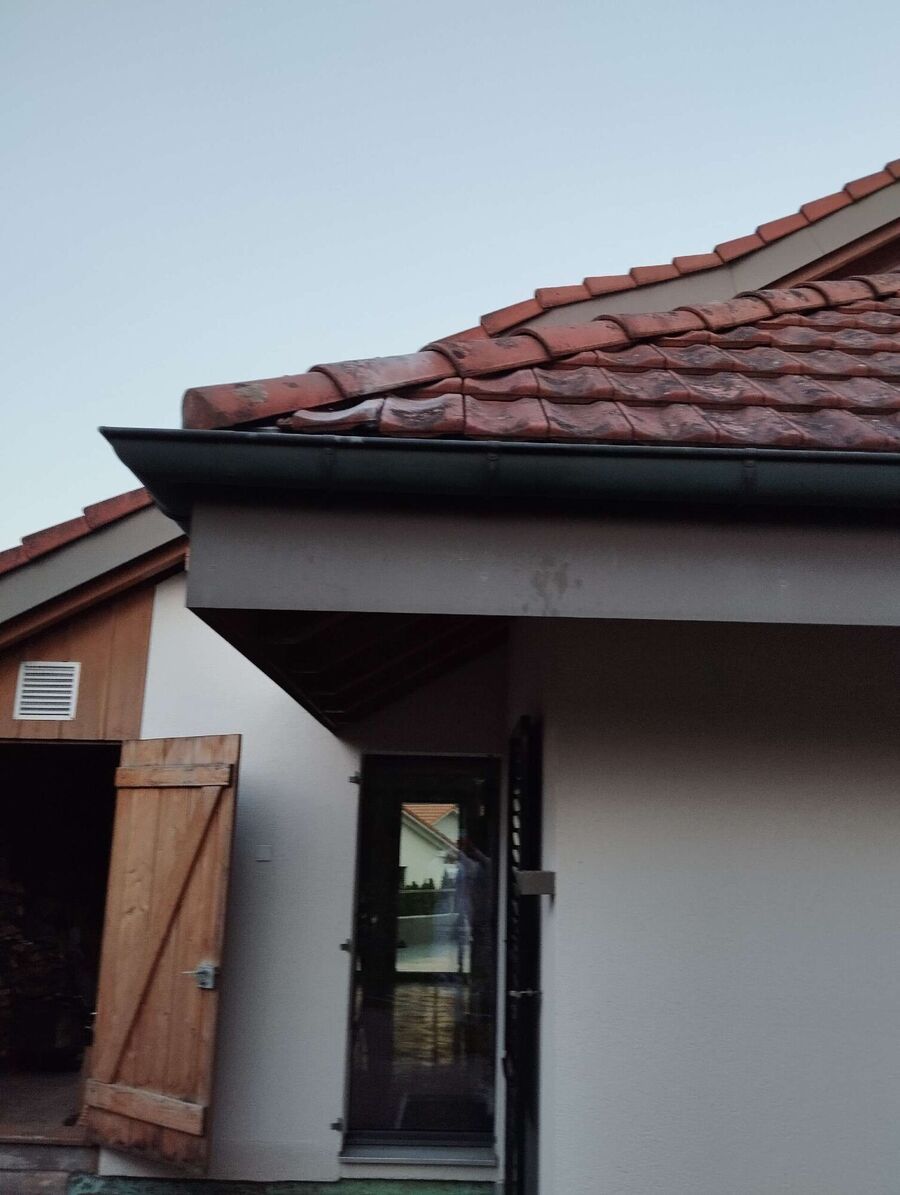 Bee nest at the house remove