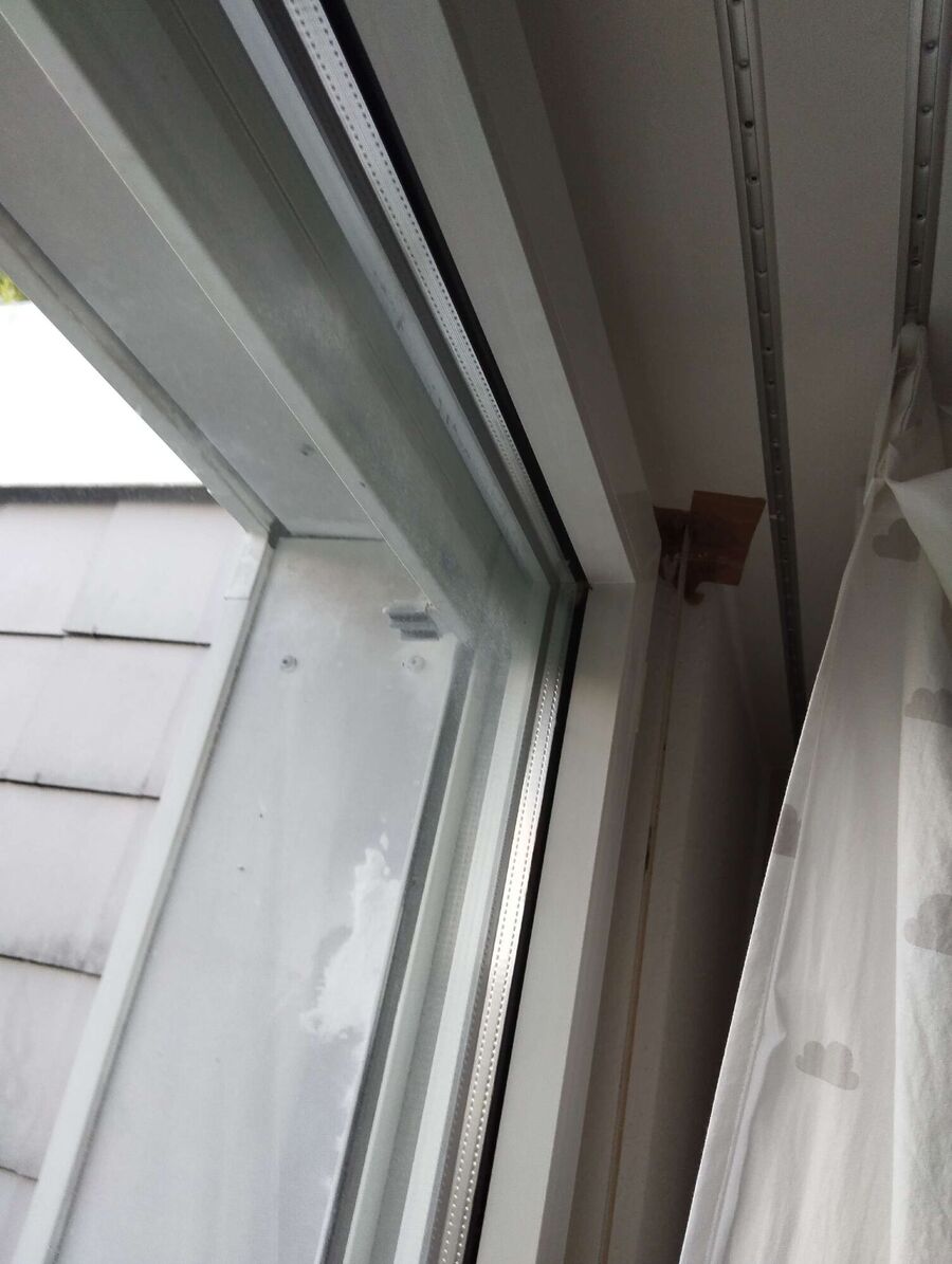 Bee nest at the house remove