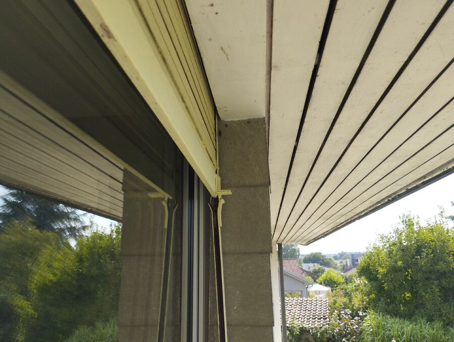 Bee nest at the house remove