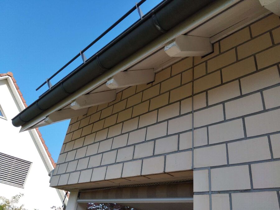 Relocate bees & remove bee nest