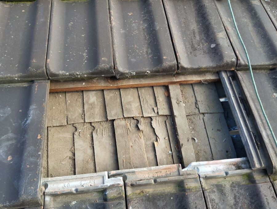 Bee nest at the house remove