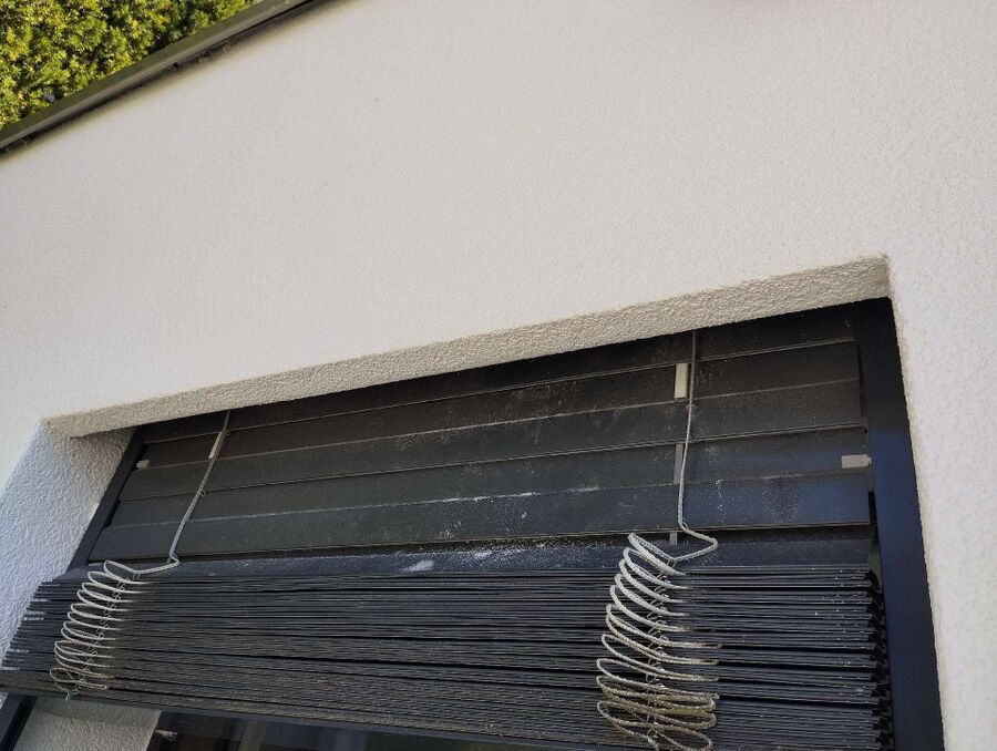 Relocate bees & remove bee nest