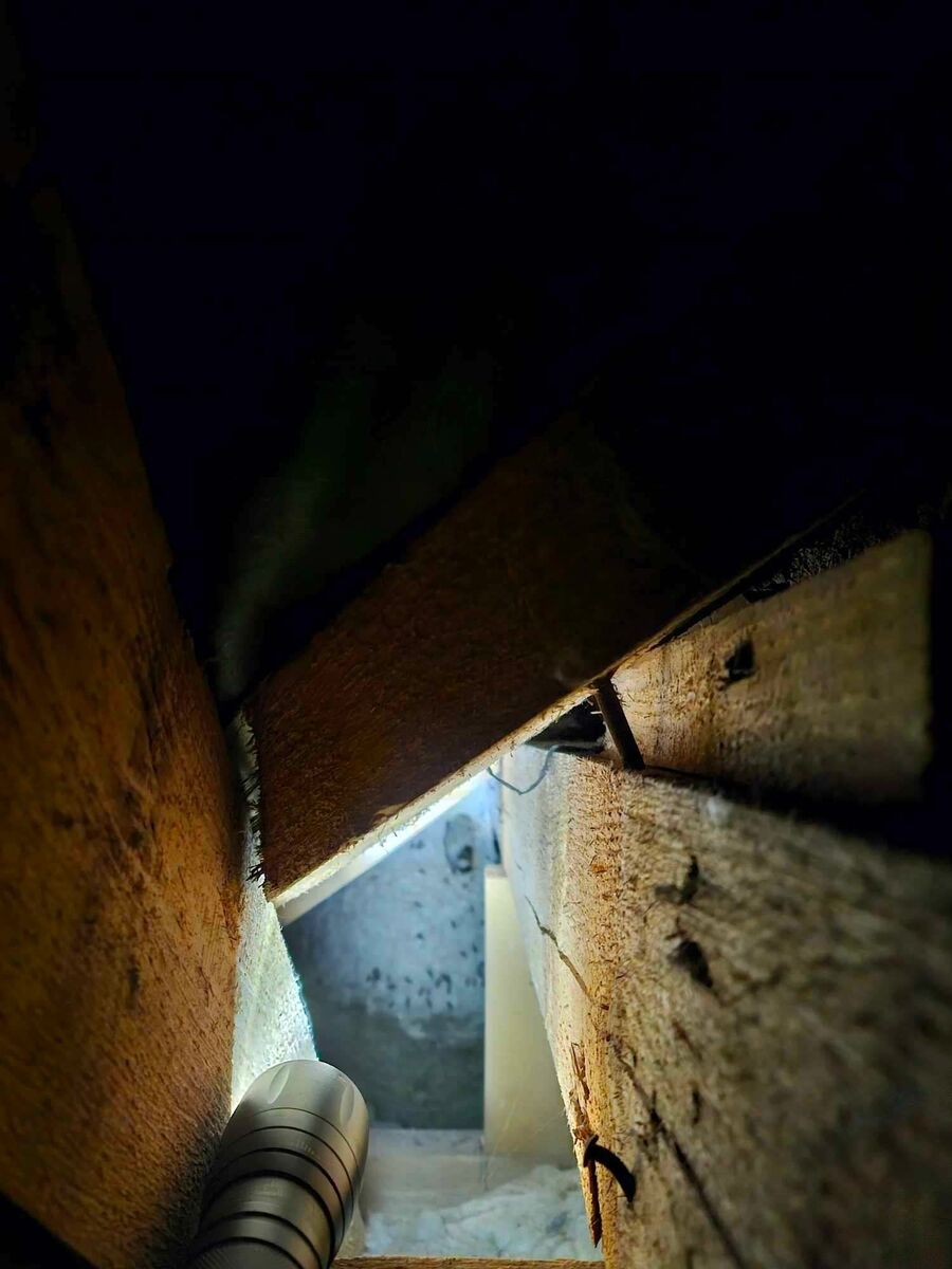 Bee nest at the house remove