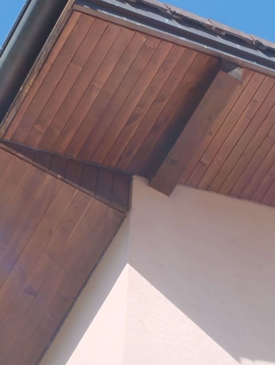 Bee nest at the house remove