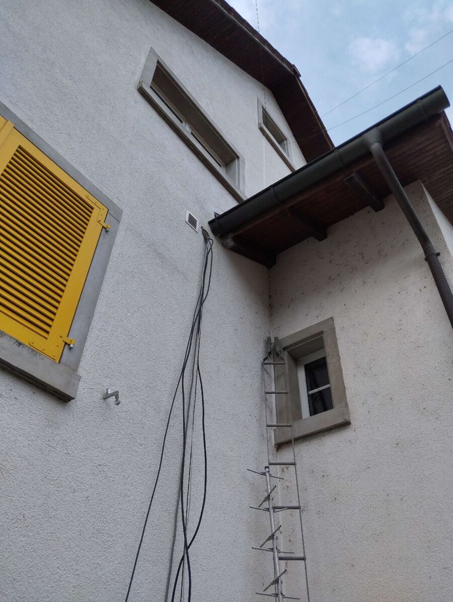 Bee nest at the house remove