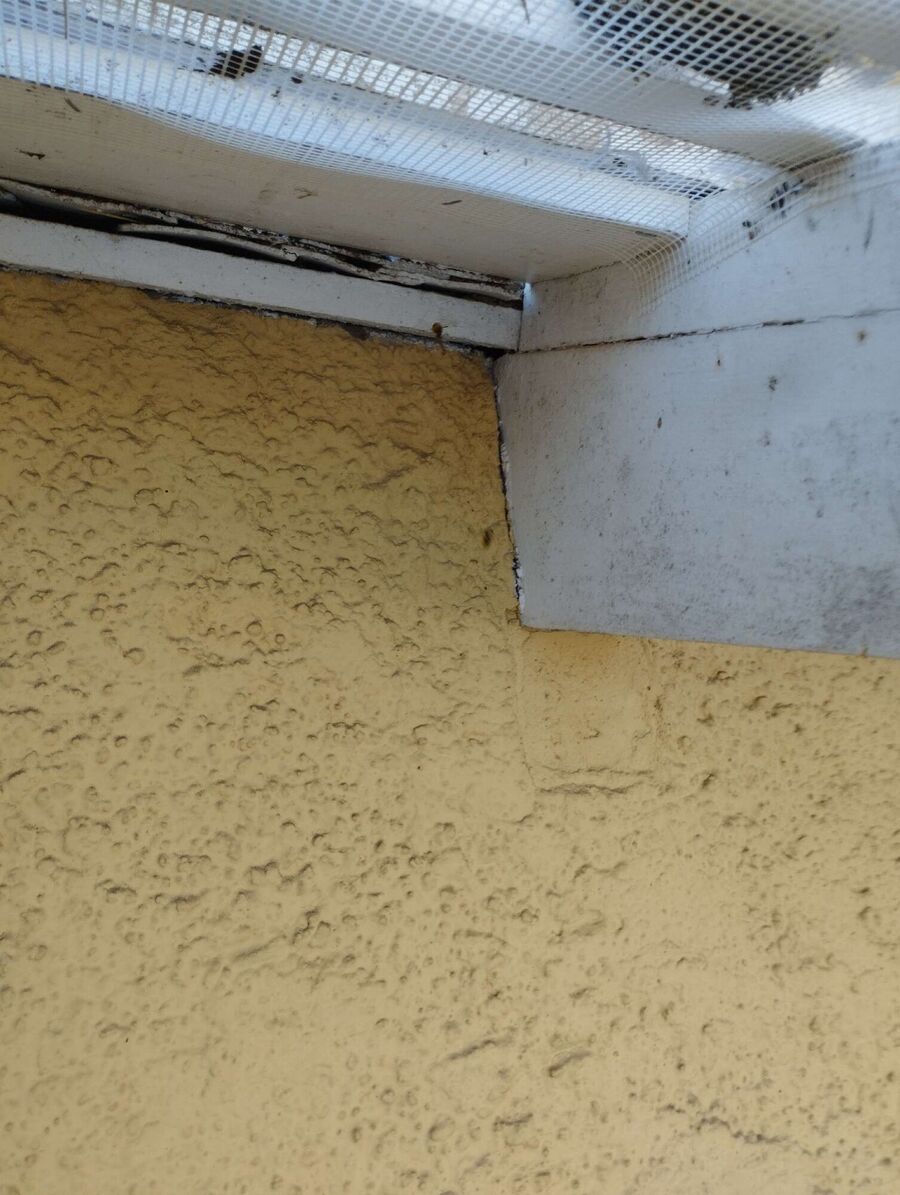 Bee nest at the house remove