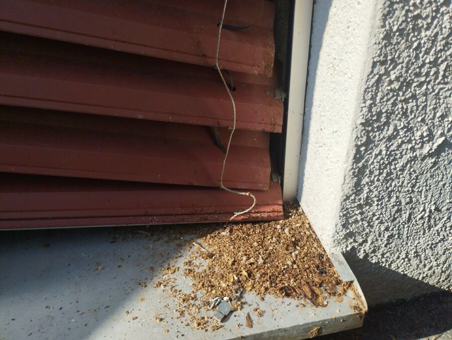 Remove bee nest