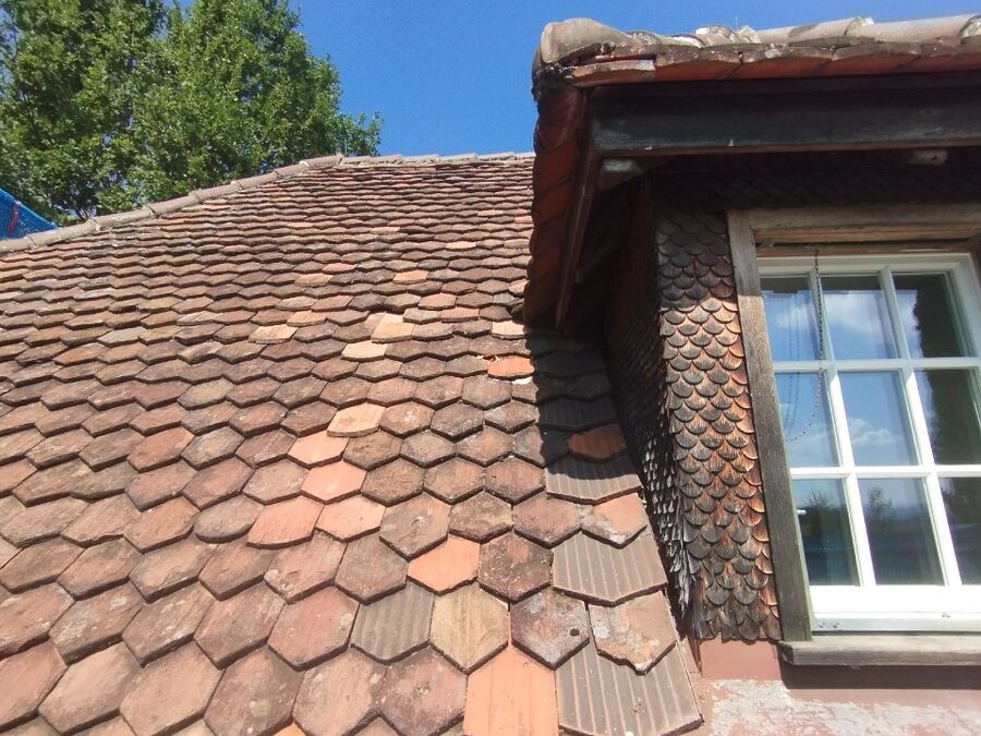 Bee nest at the house remove