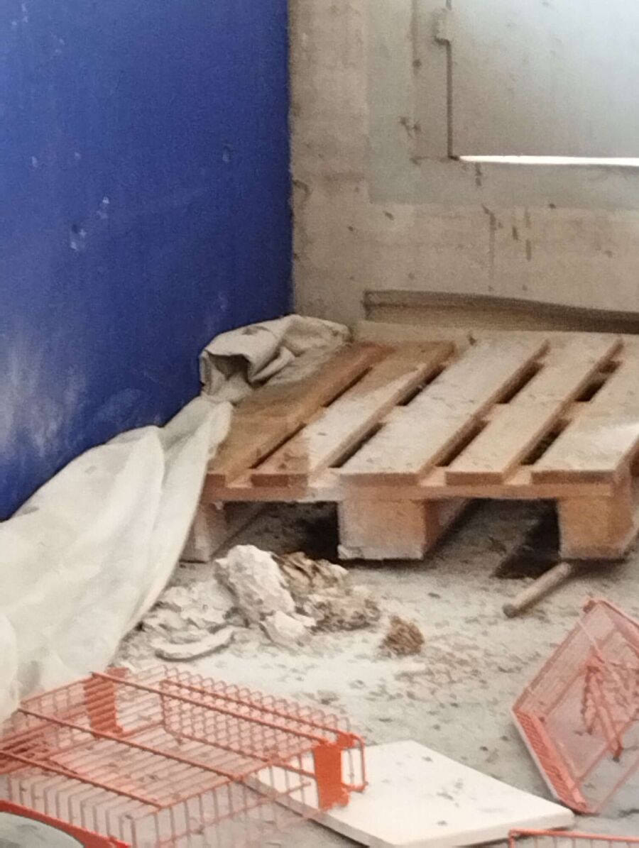 Bee nest at the house remove