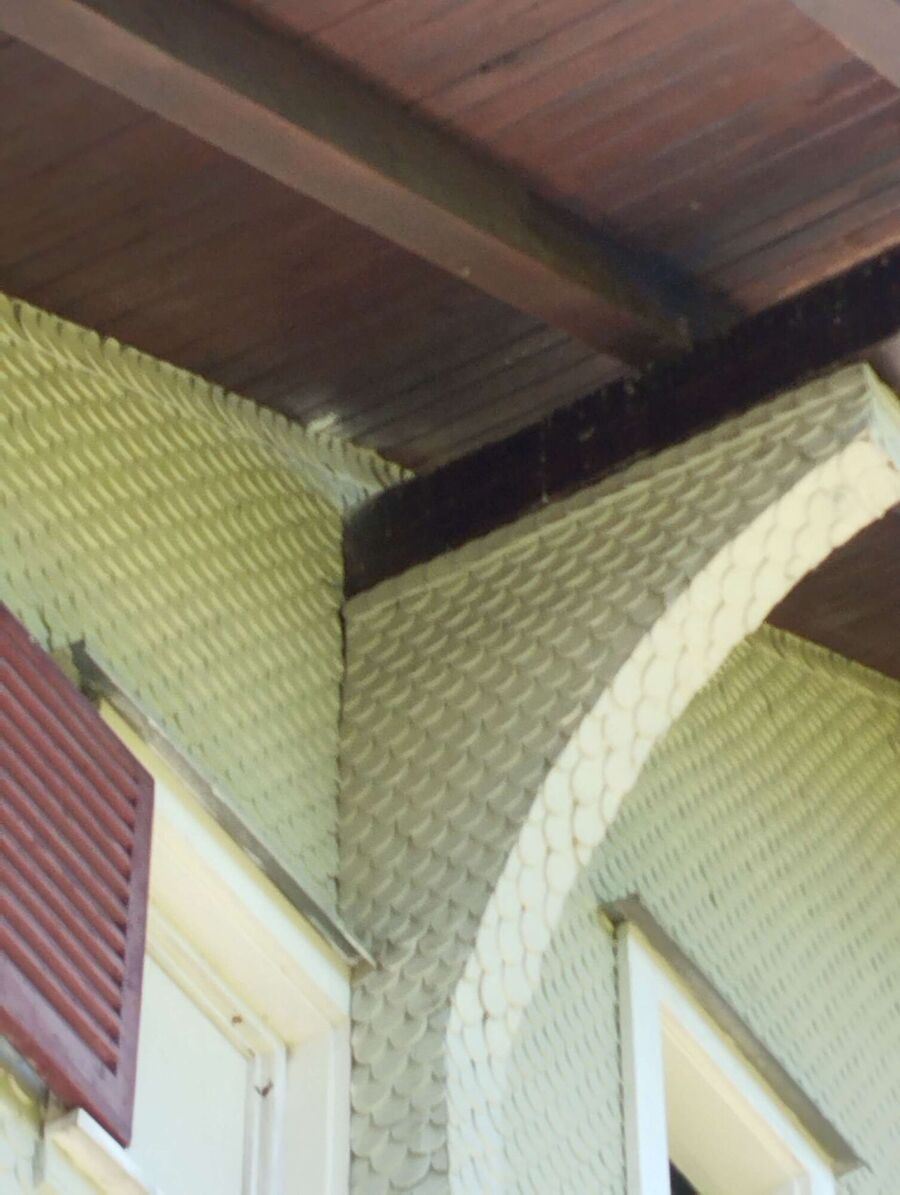 Bee nest at the house remove