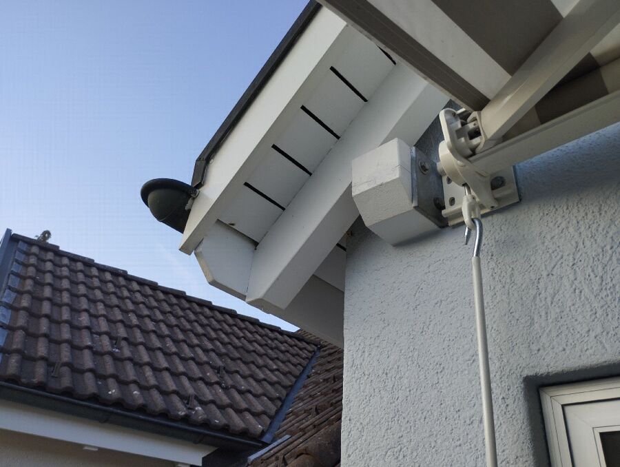 Relocate bees & remove bee nest