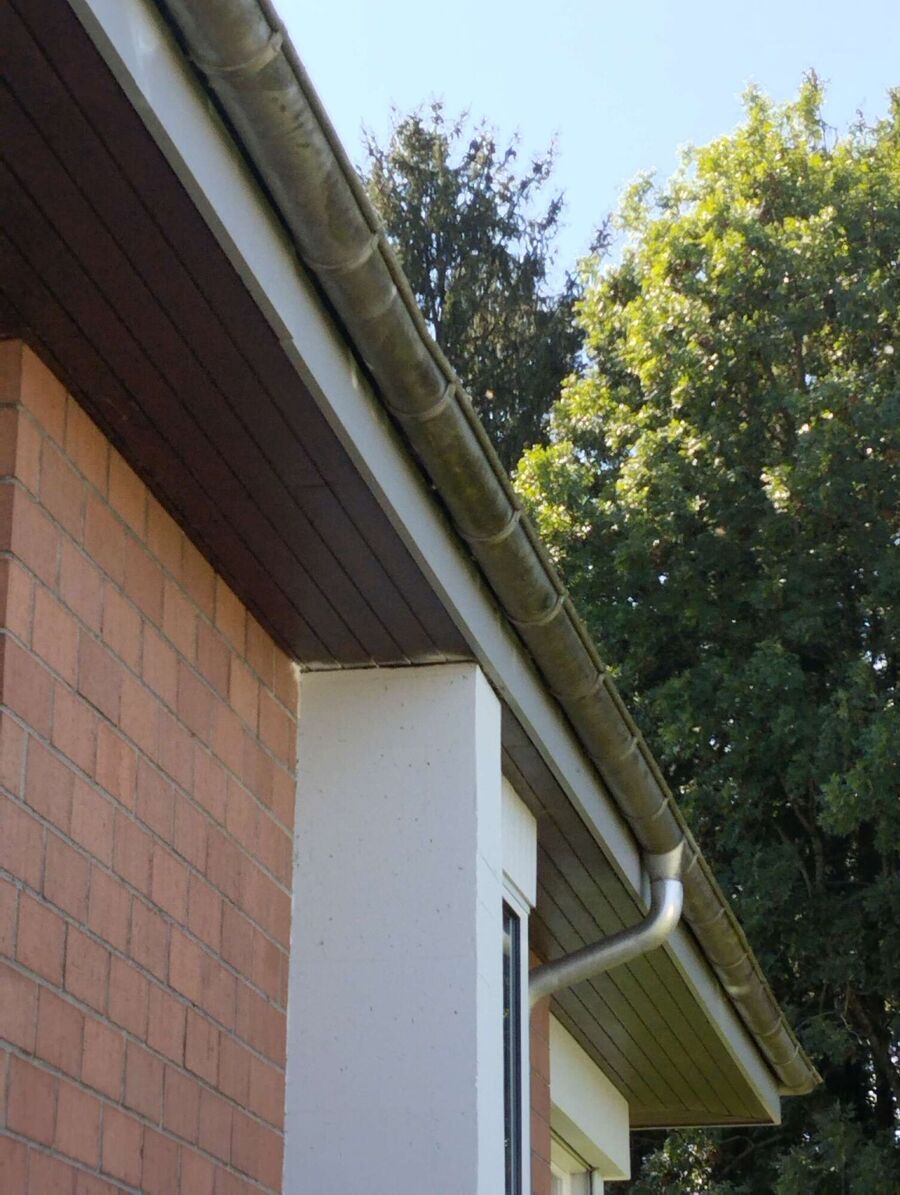 Bee nest at the house remove