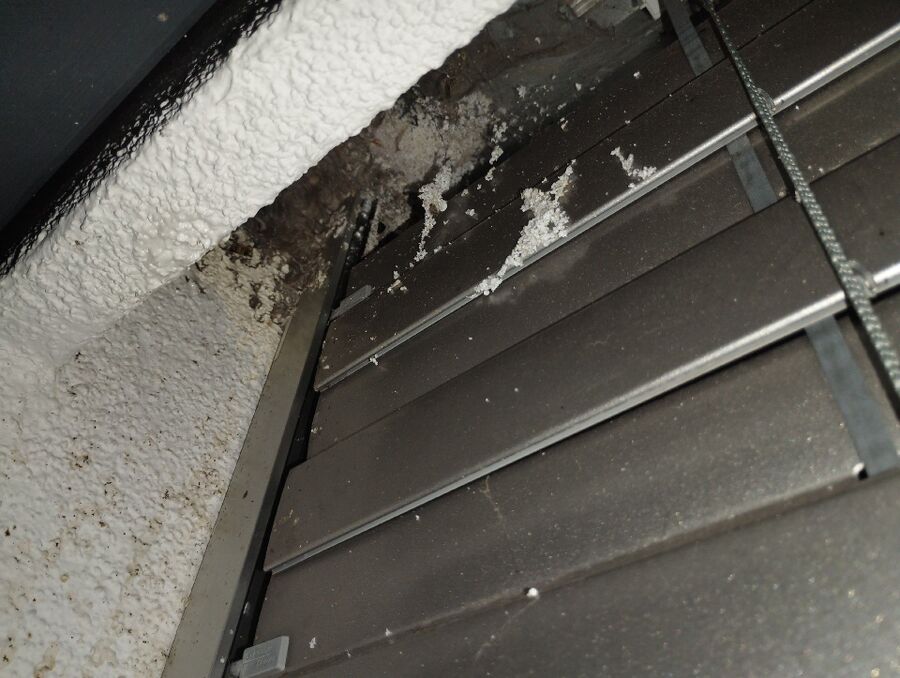 Bee nest at the house remove