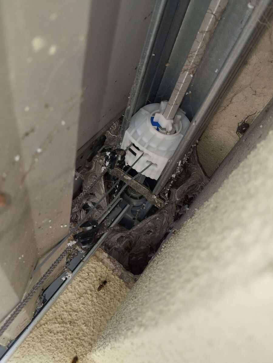 Bee nest at the house remove