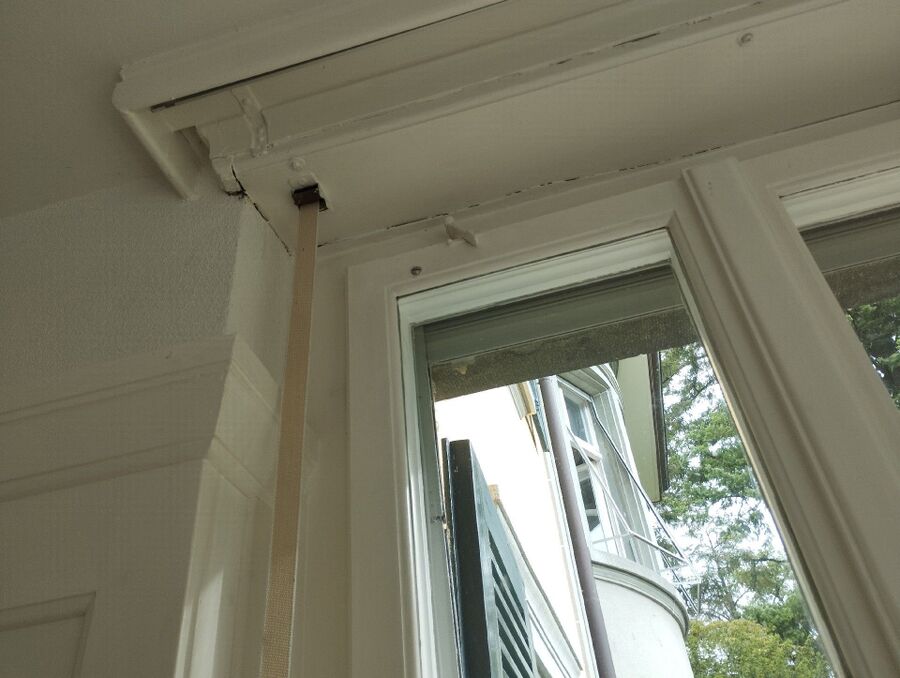 Bee nest at the house remove