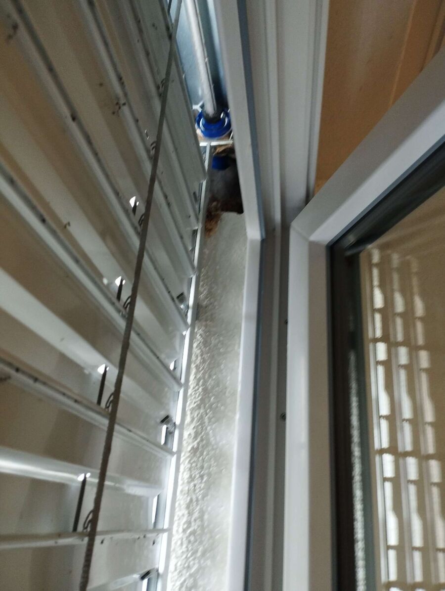 Bee nest at the house remove