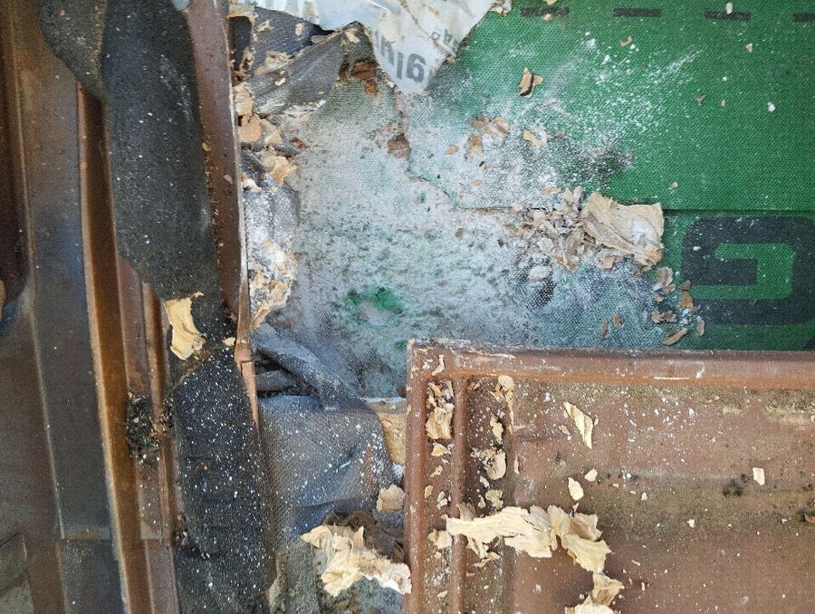 Relocate bees & remove bee nest