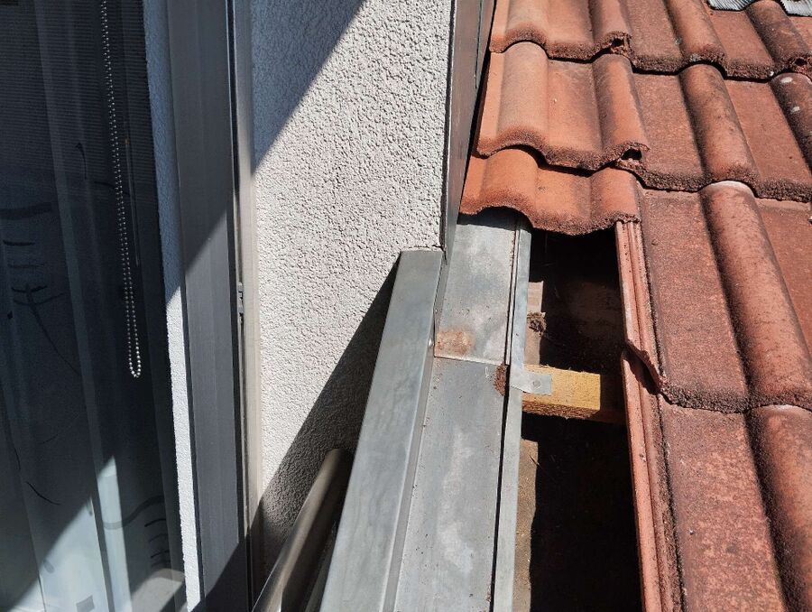 Relocate bees & remove bee nest