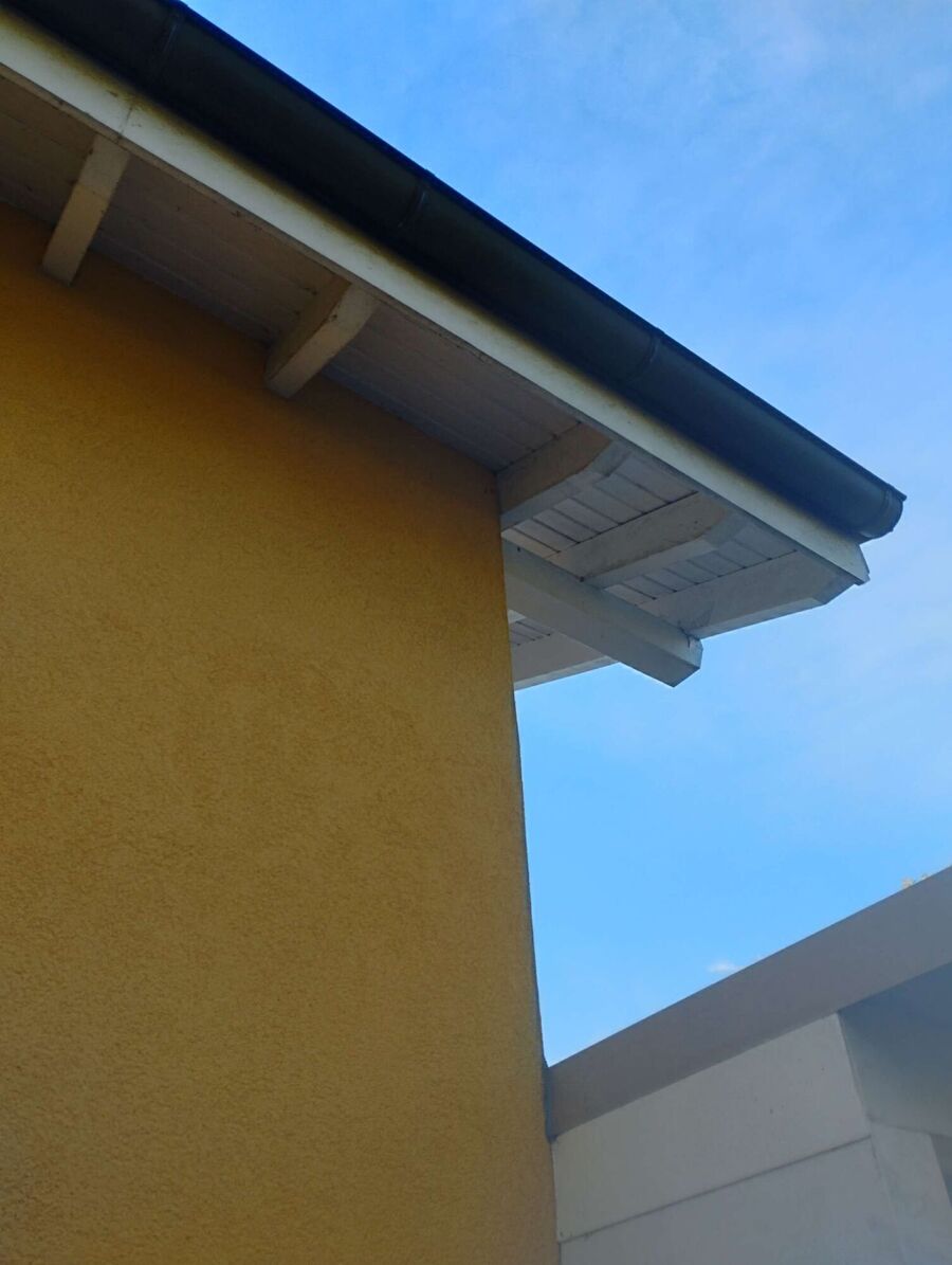 Bee nest at the house remove