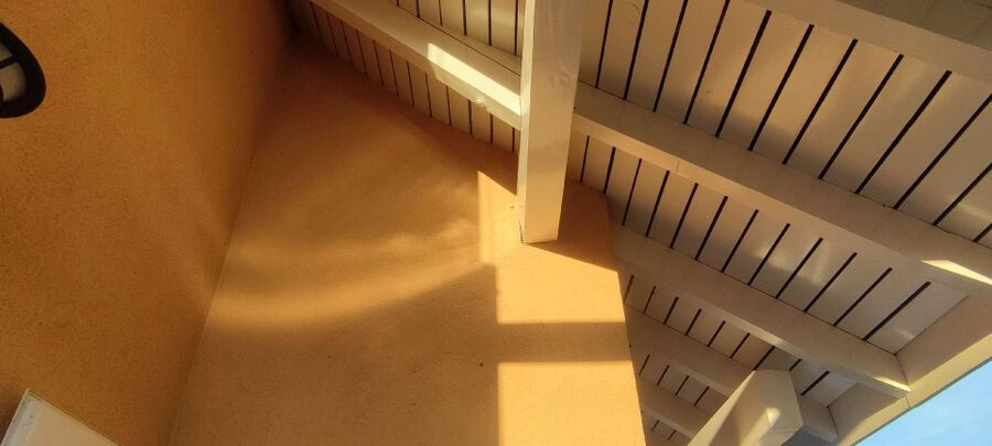 Relocate bees & remove bee nest