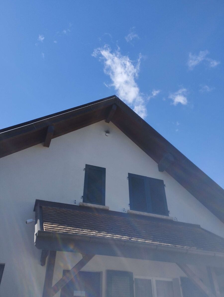 Relocate bees & remove bee nest