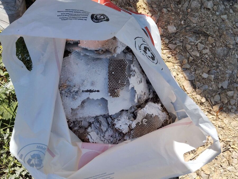 Bee nest at the house remove