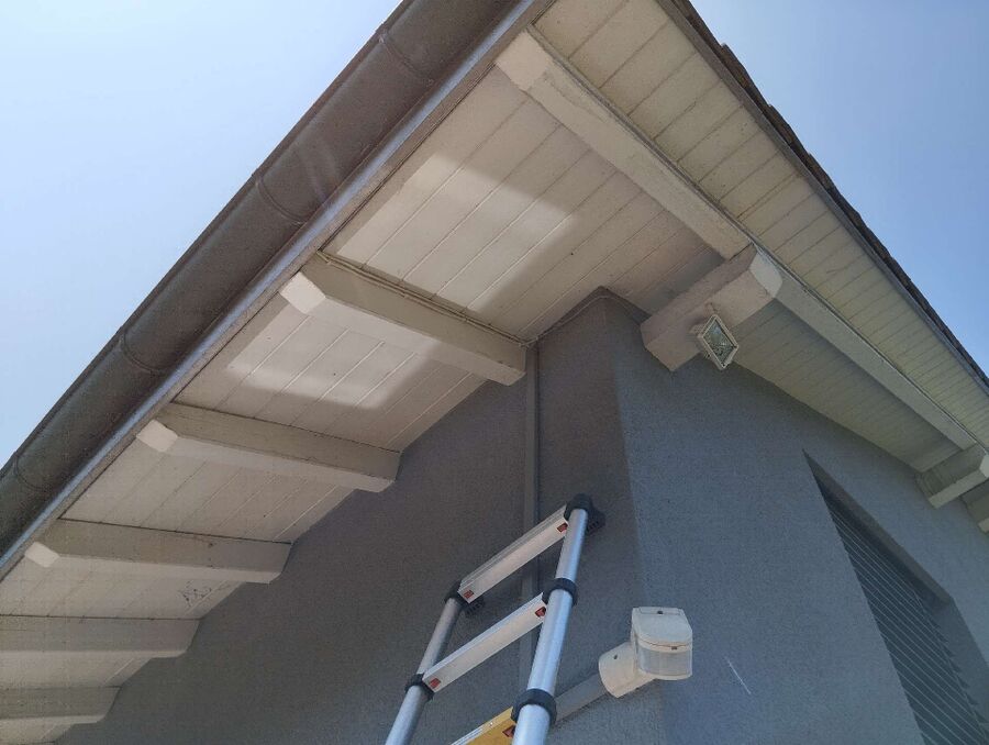 Bee nest at the house remove