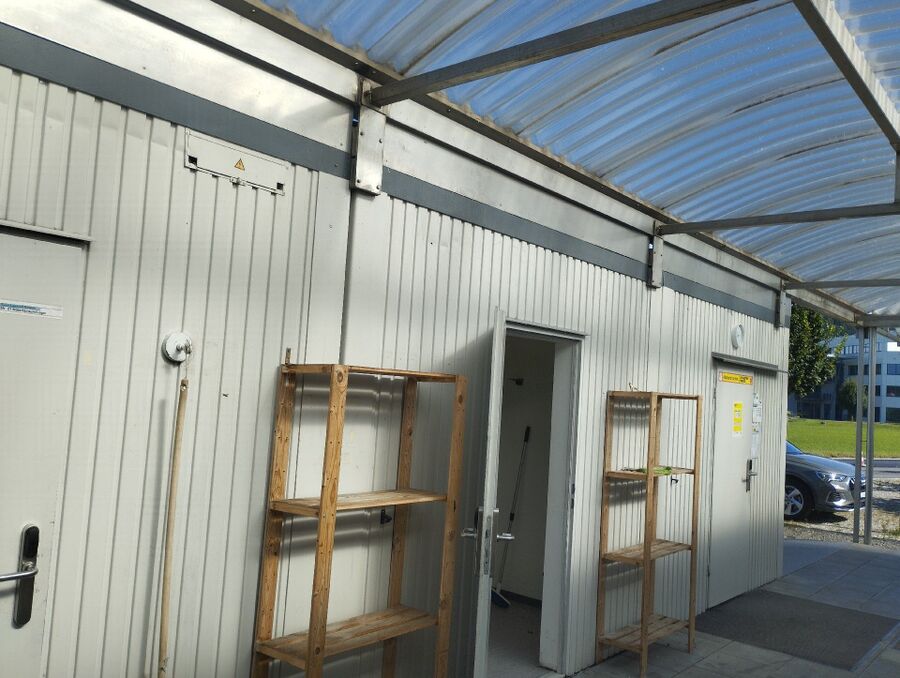 Bee nest at the house remove