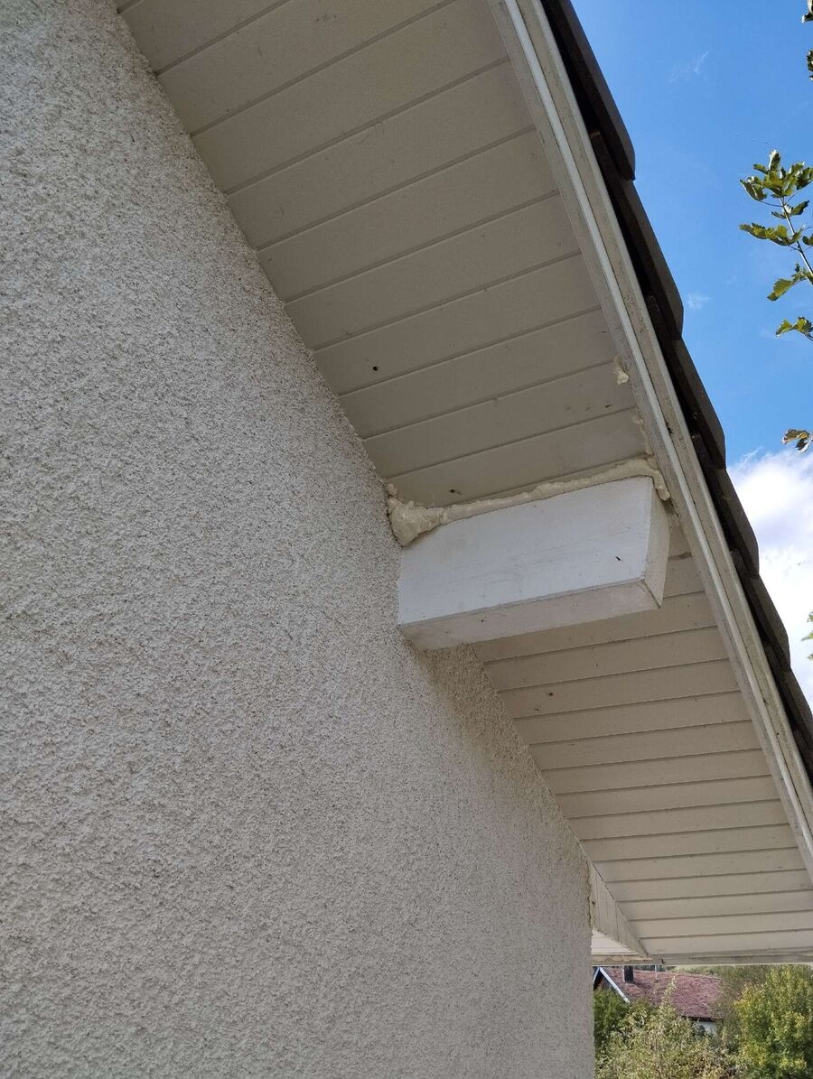 Bee nest at the house remove