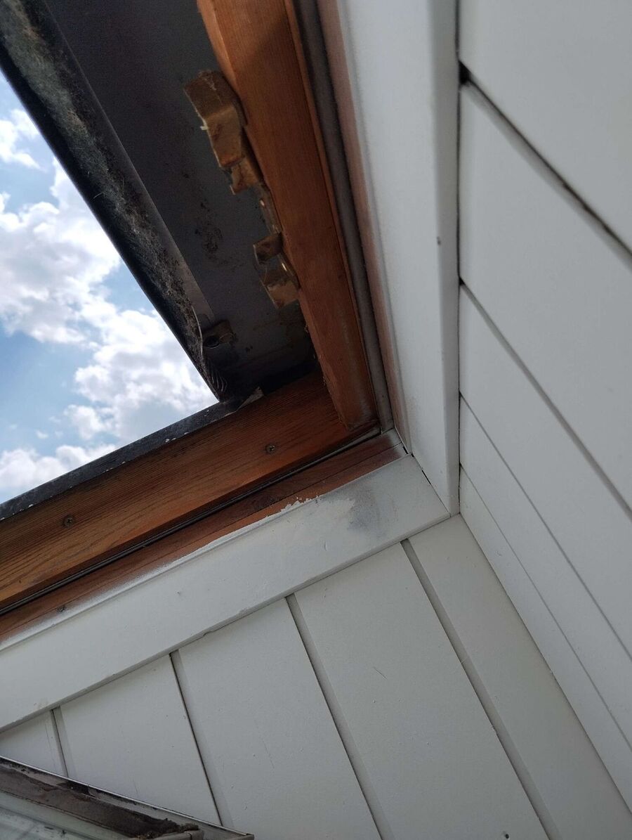 Relocate bees & remove bee nest