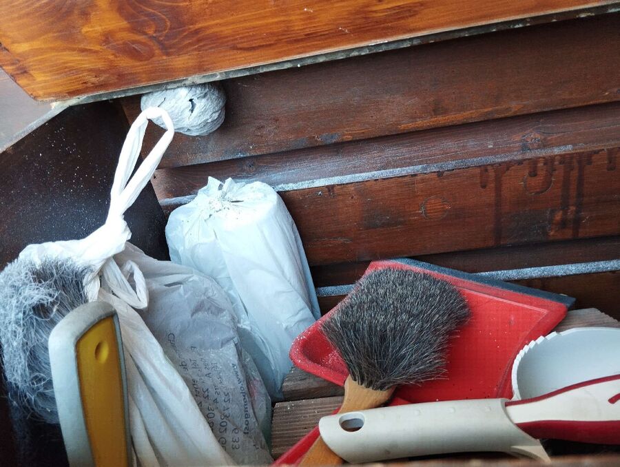 Relocate bees & remove bee nest