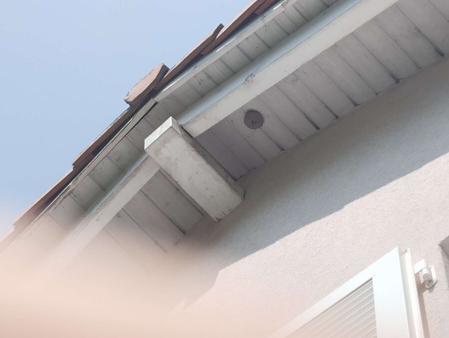 Bee nest at the house remove