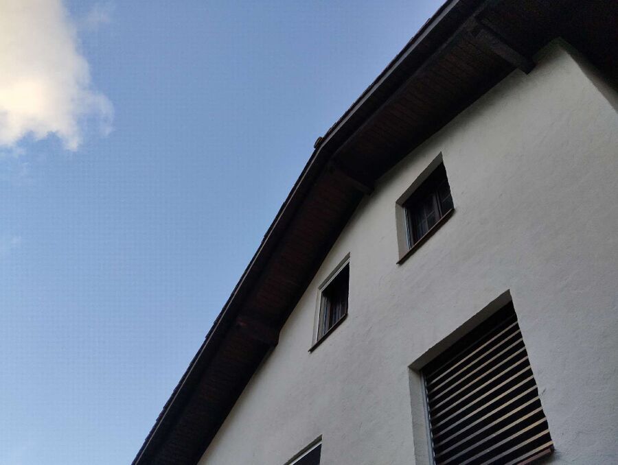 Bee nest at the house remove