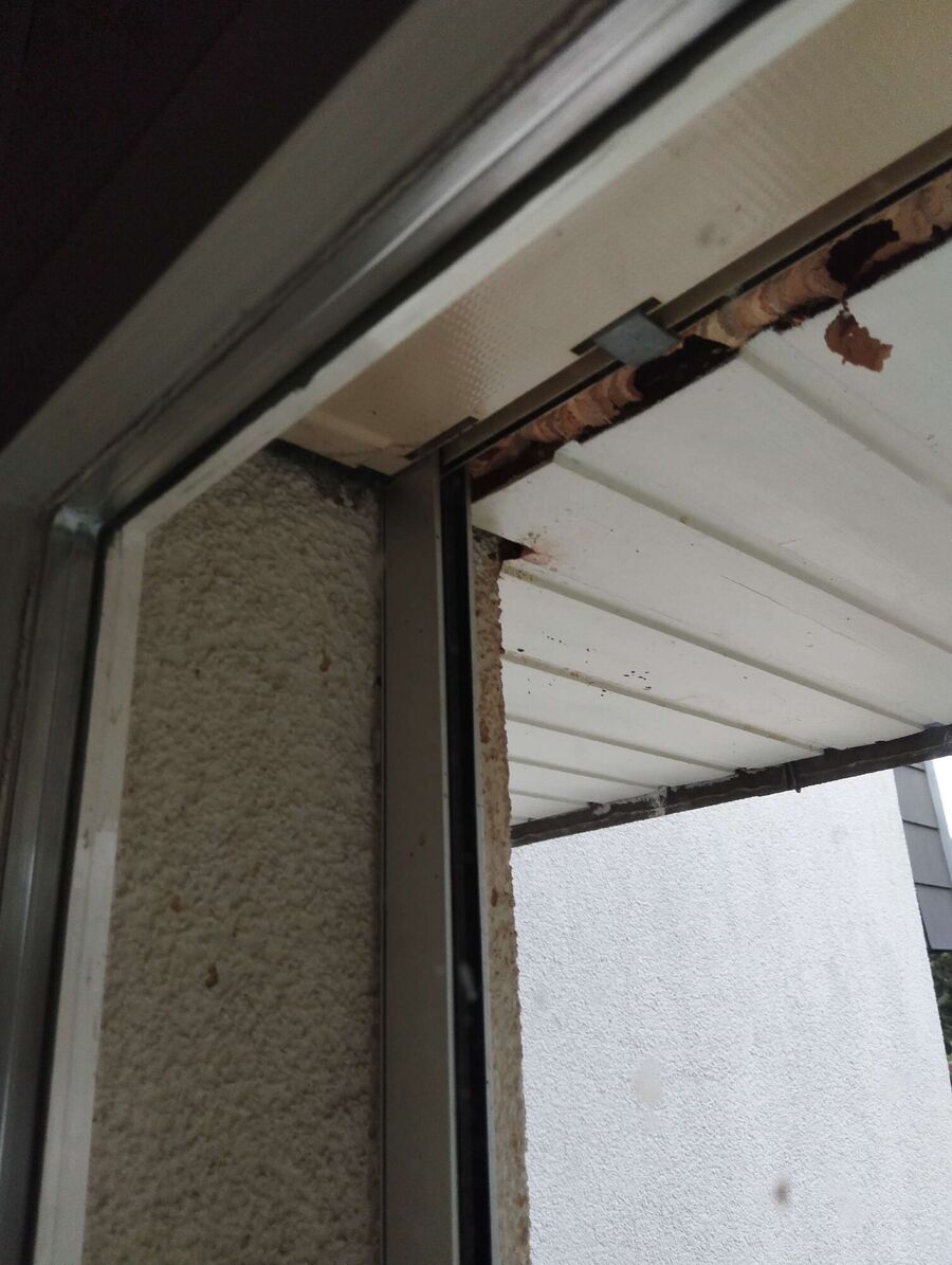 Bee nest at the house remove