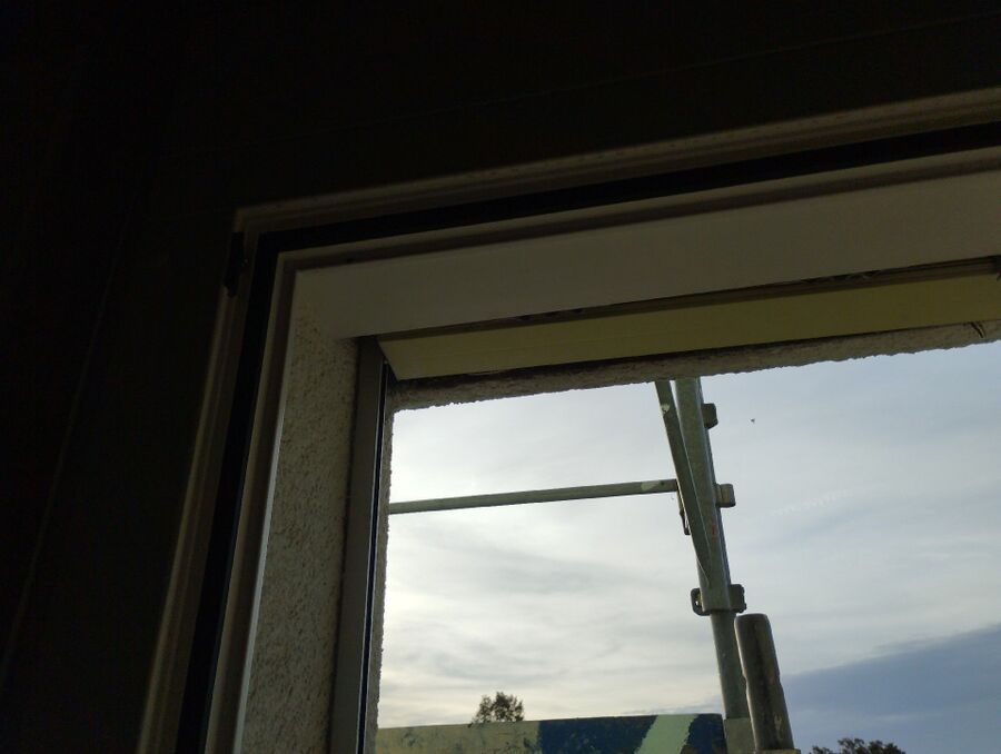 Bee nest at the house remove