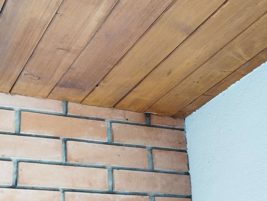 Relocate bees & remove bee nest