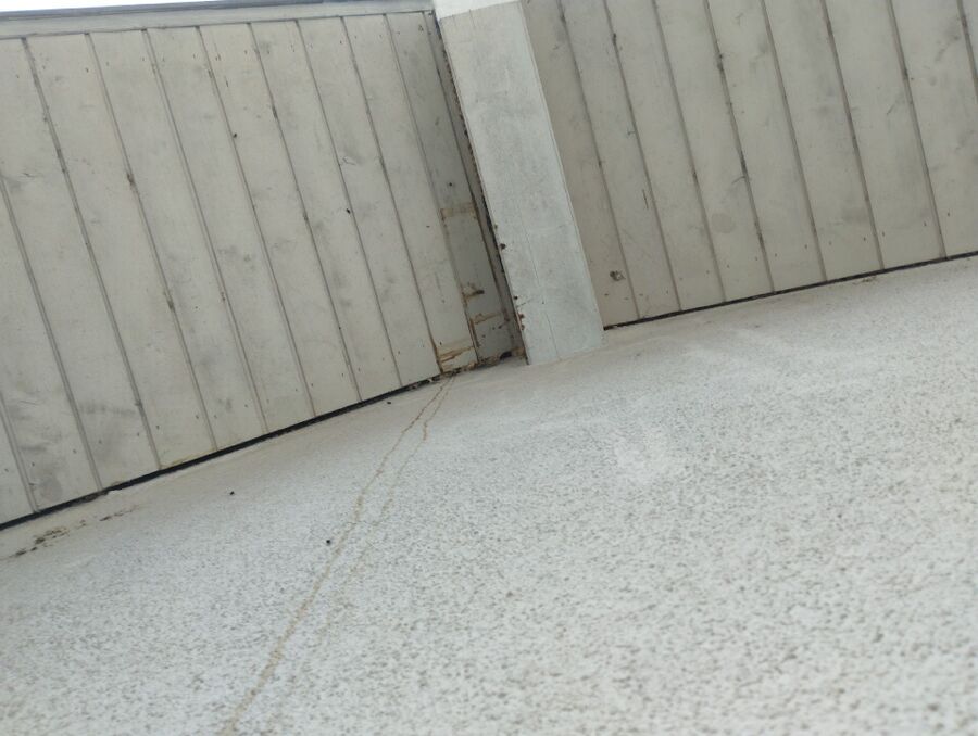 Relocate bees & remove bee nest