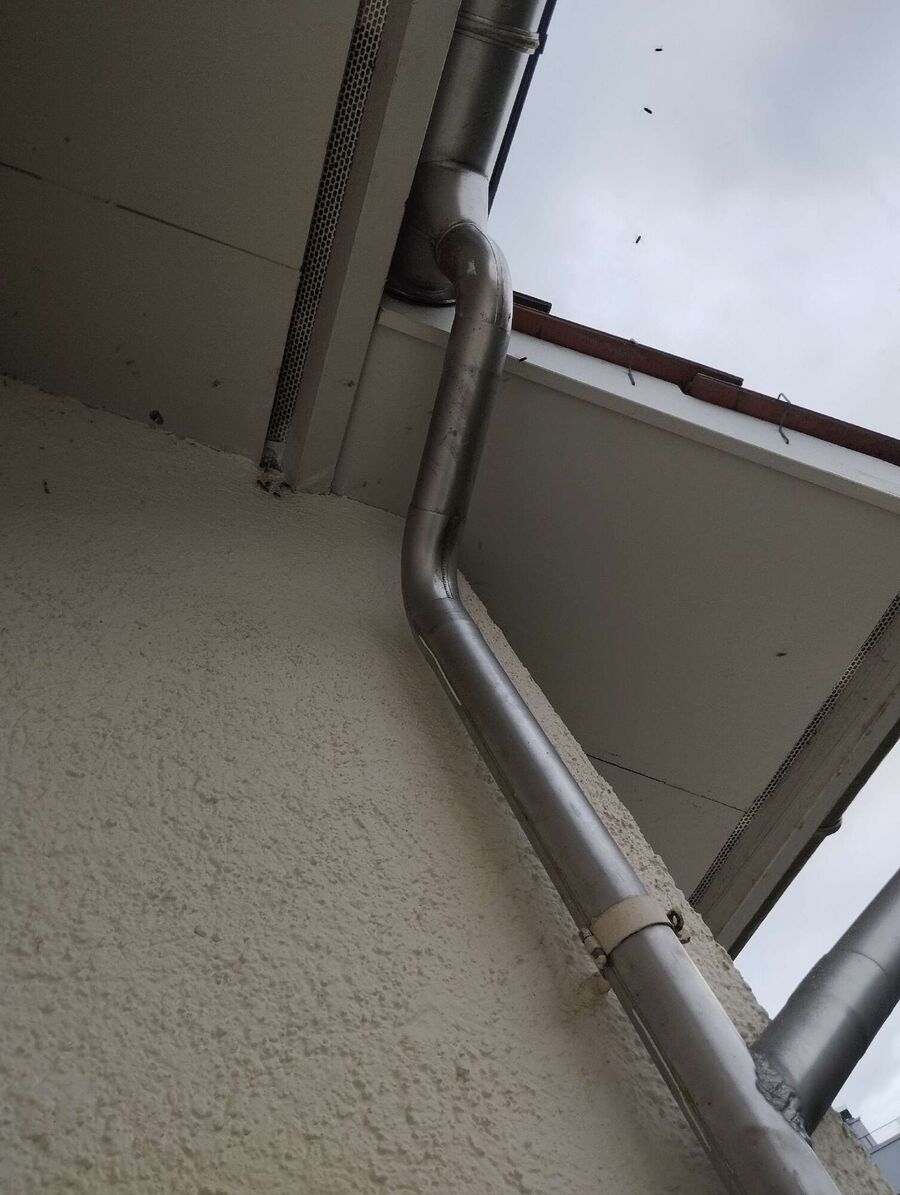 Bee nest at the house remove