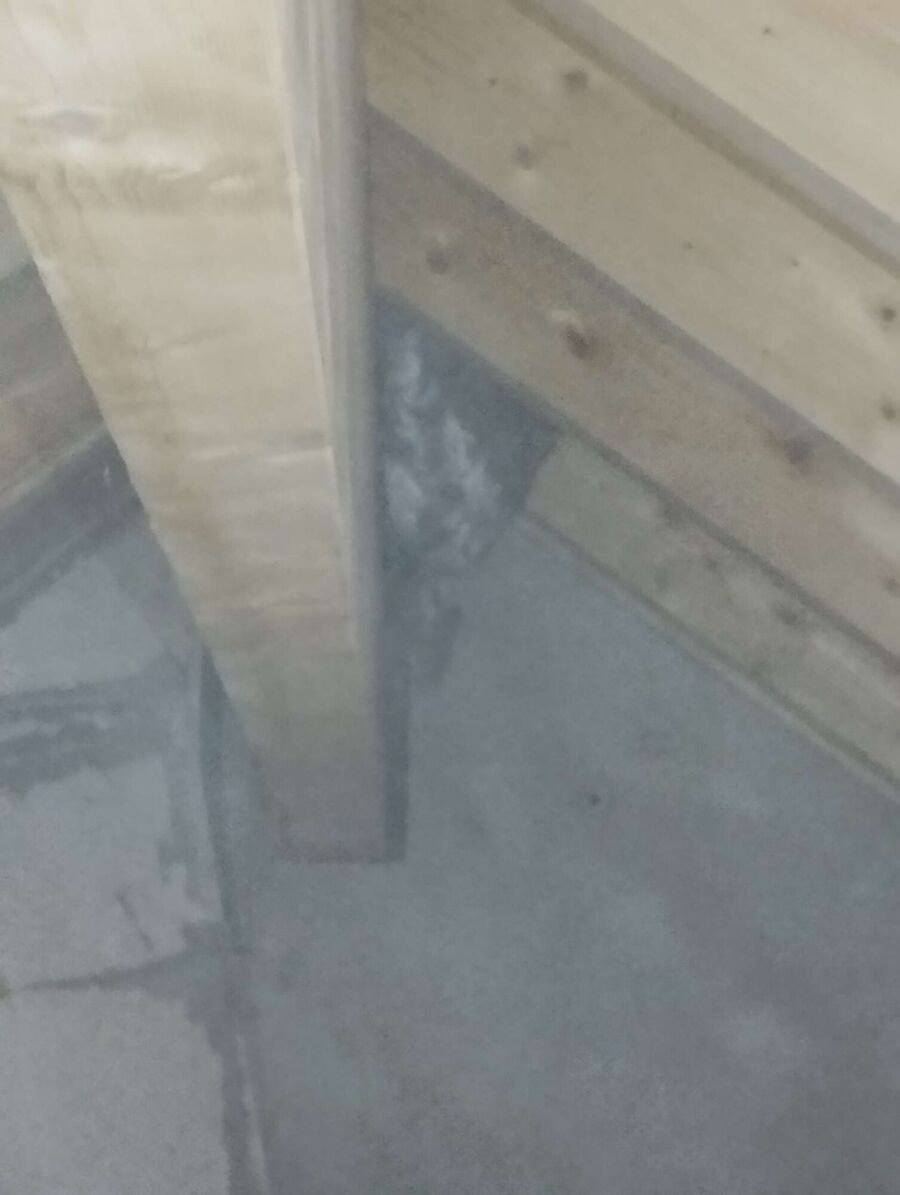 Bee nest at the house remove