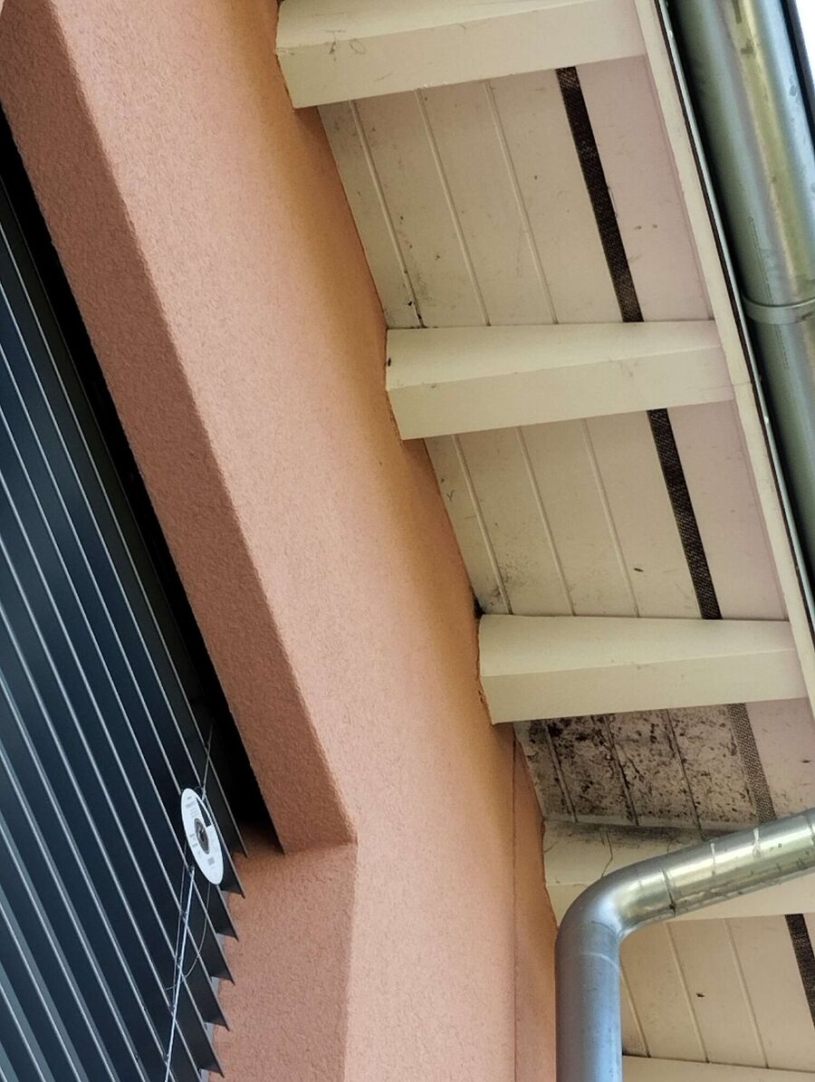 Bee nest at the house remove