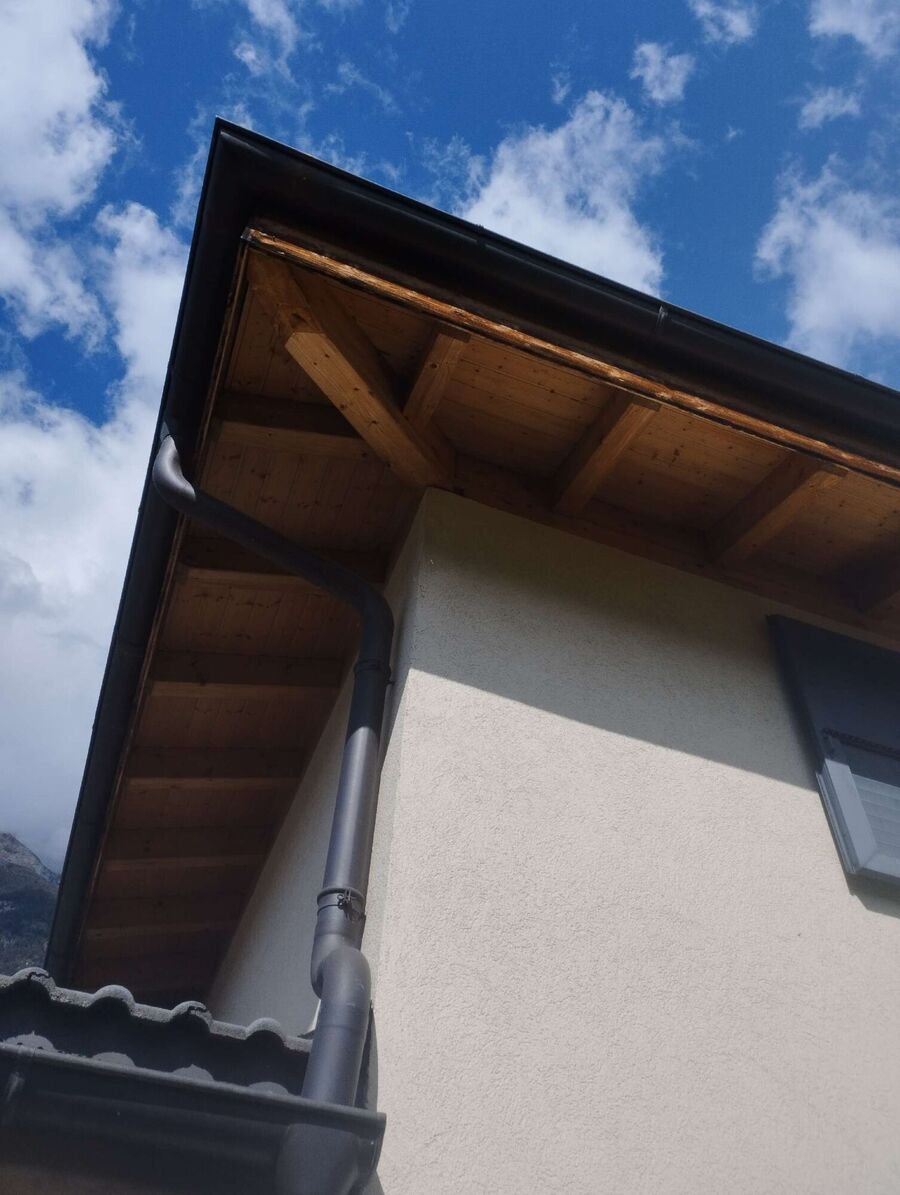 Bee nest at the house remove