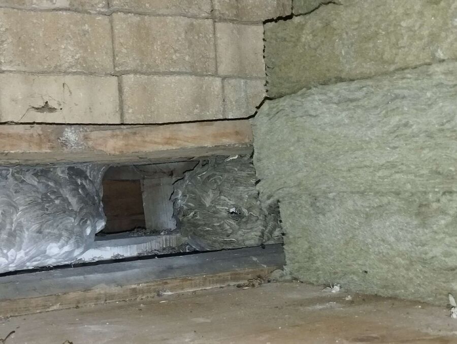 Bee nest at the house remove