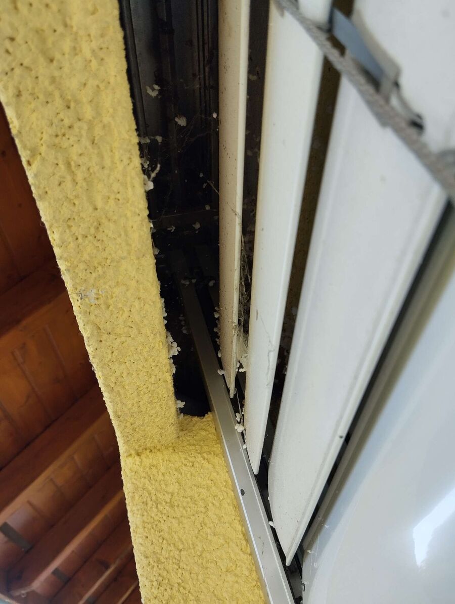 Bee nest at the house remove