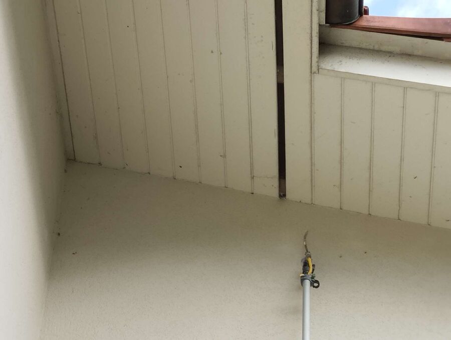 Bee nest at the house remove