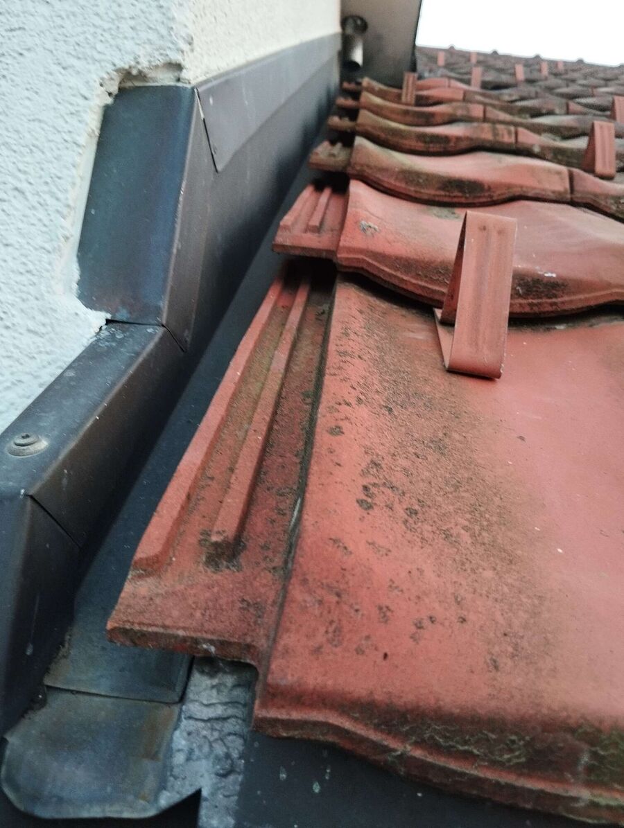 Bee nest at the house remove