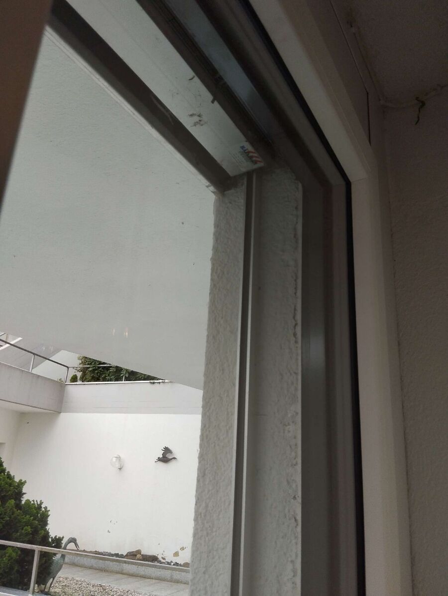 Relocate bees & remove bee nest