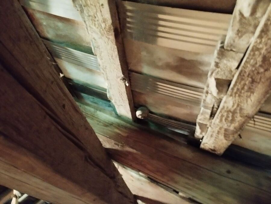 Bee nest at the house remove