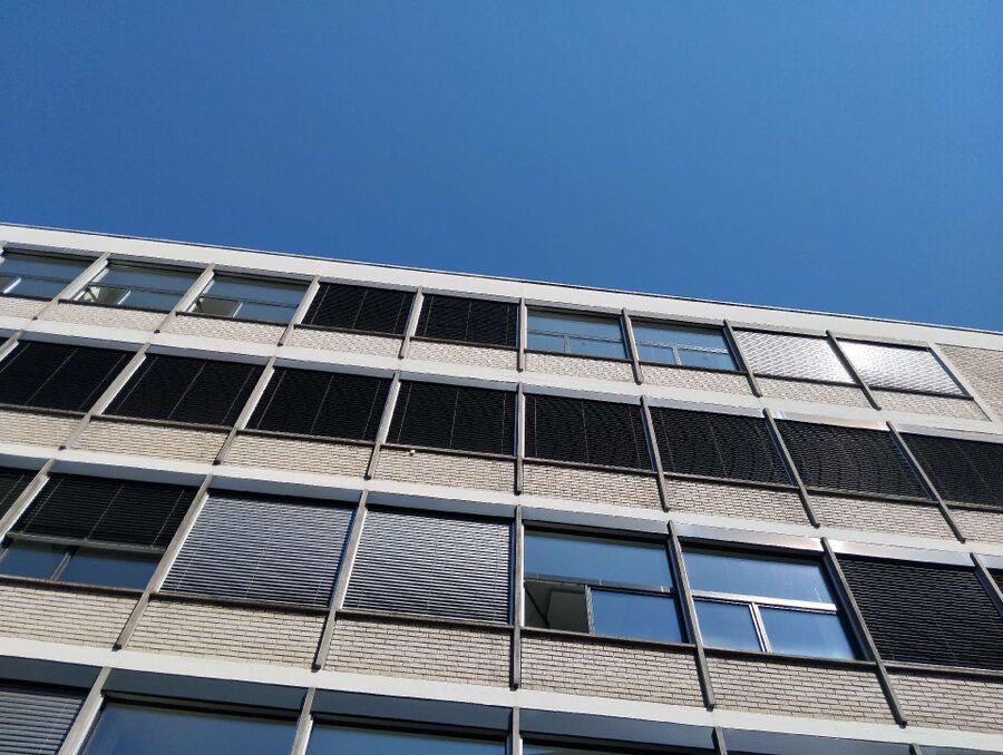 Relocate bees & remove bee nest